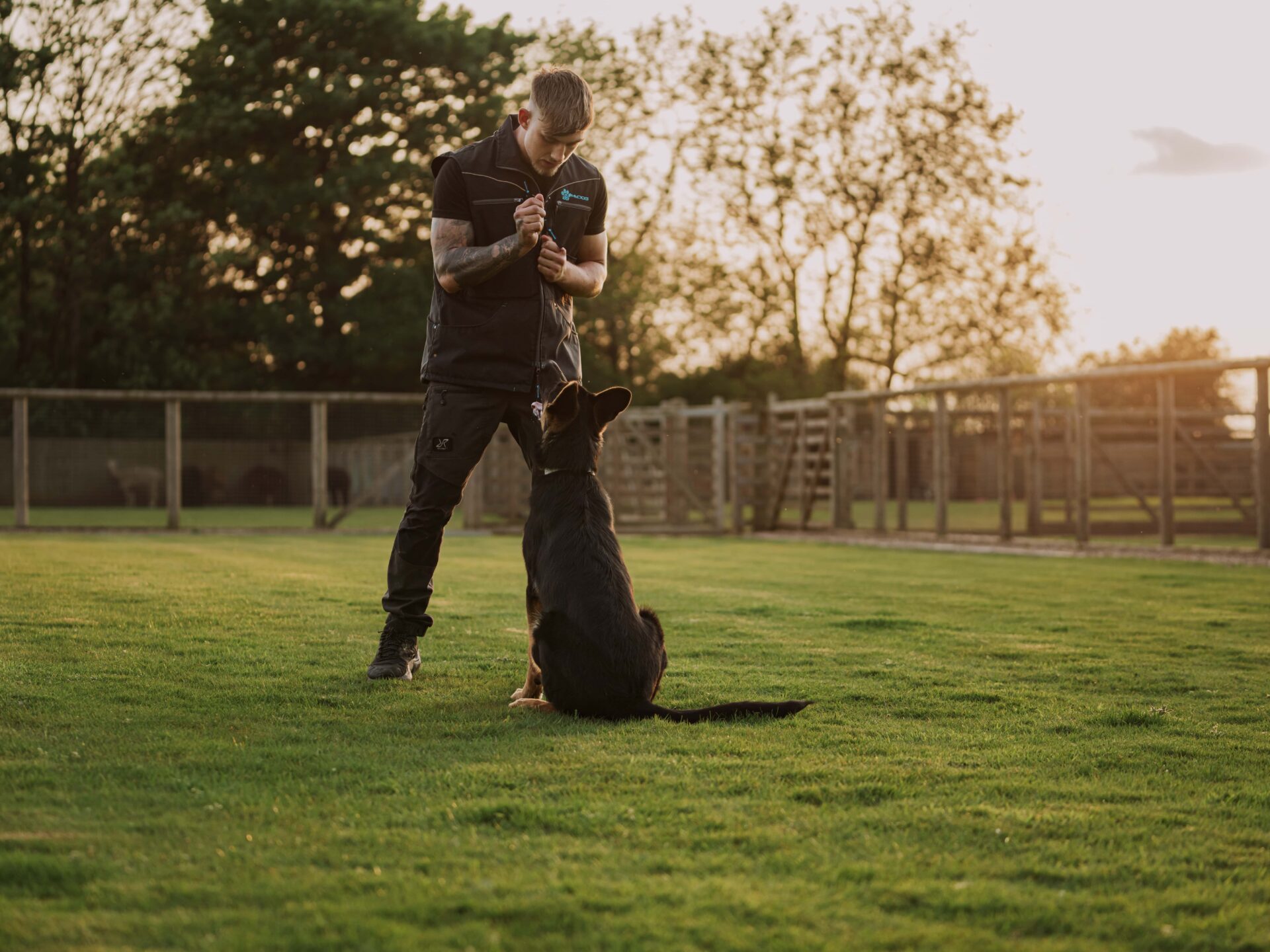 Protection Dogs Worldwide Training Courses