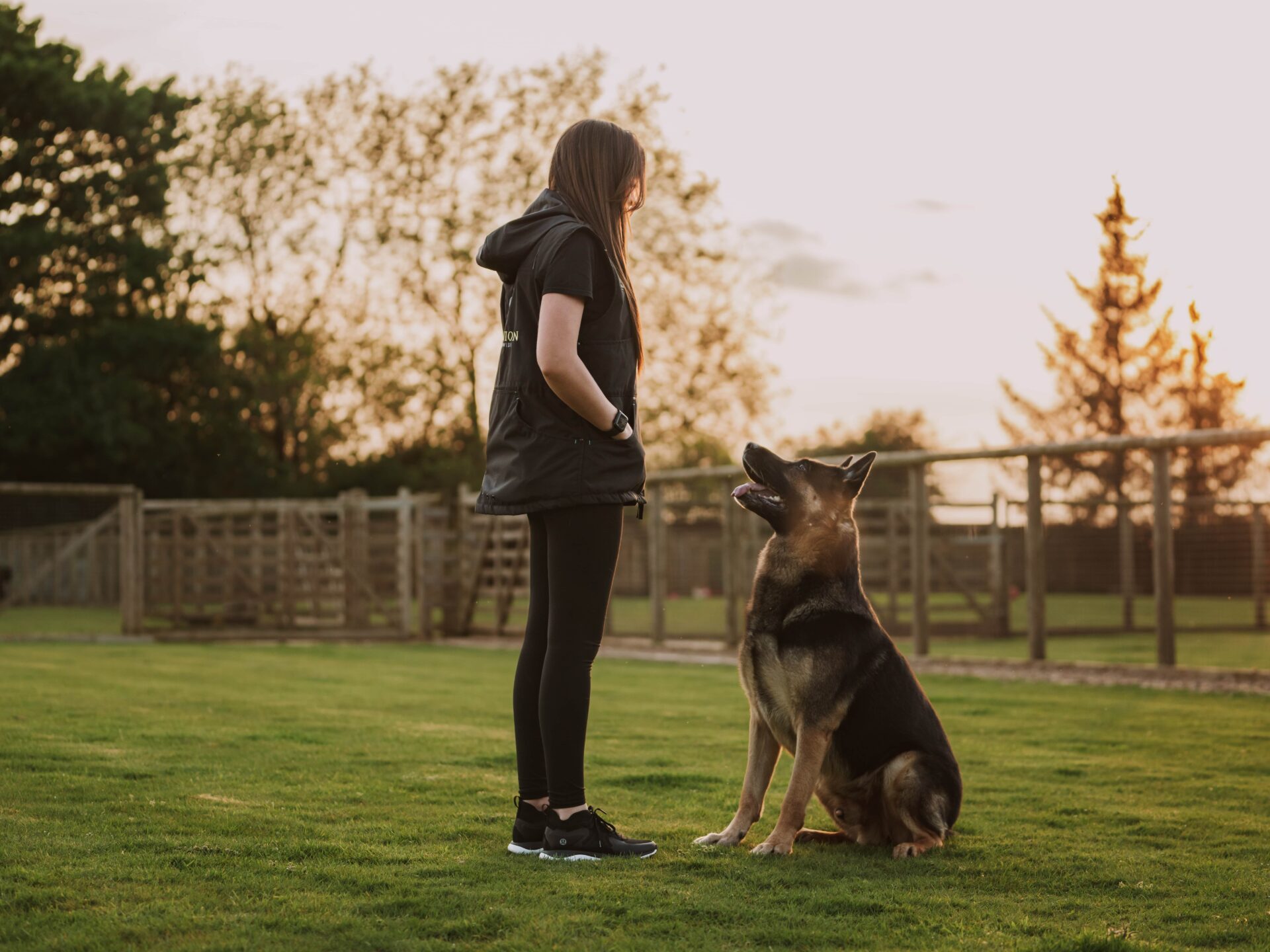 Obedience Training