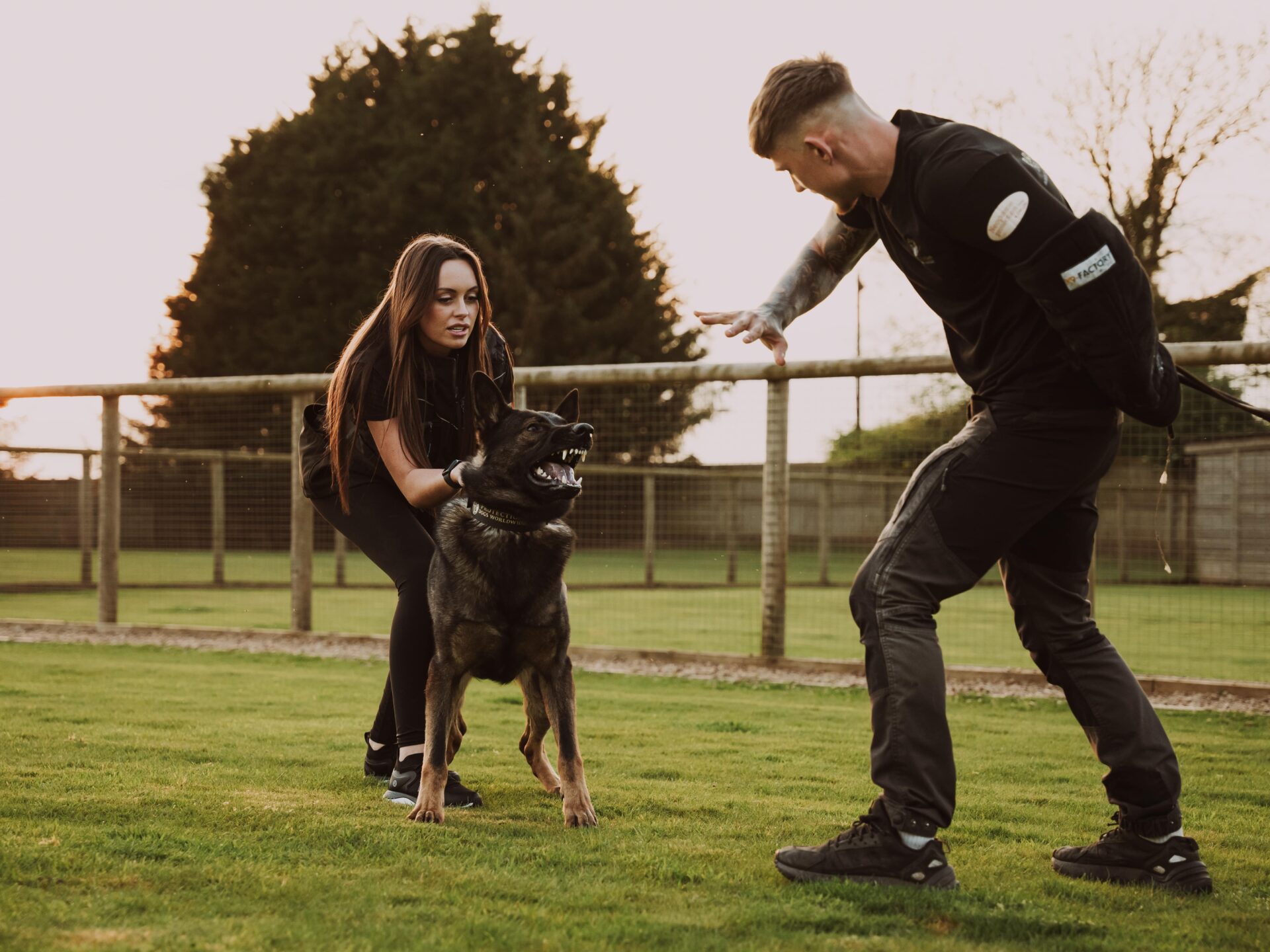 Protection Training