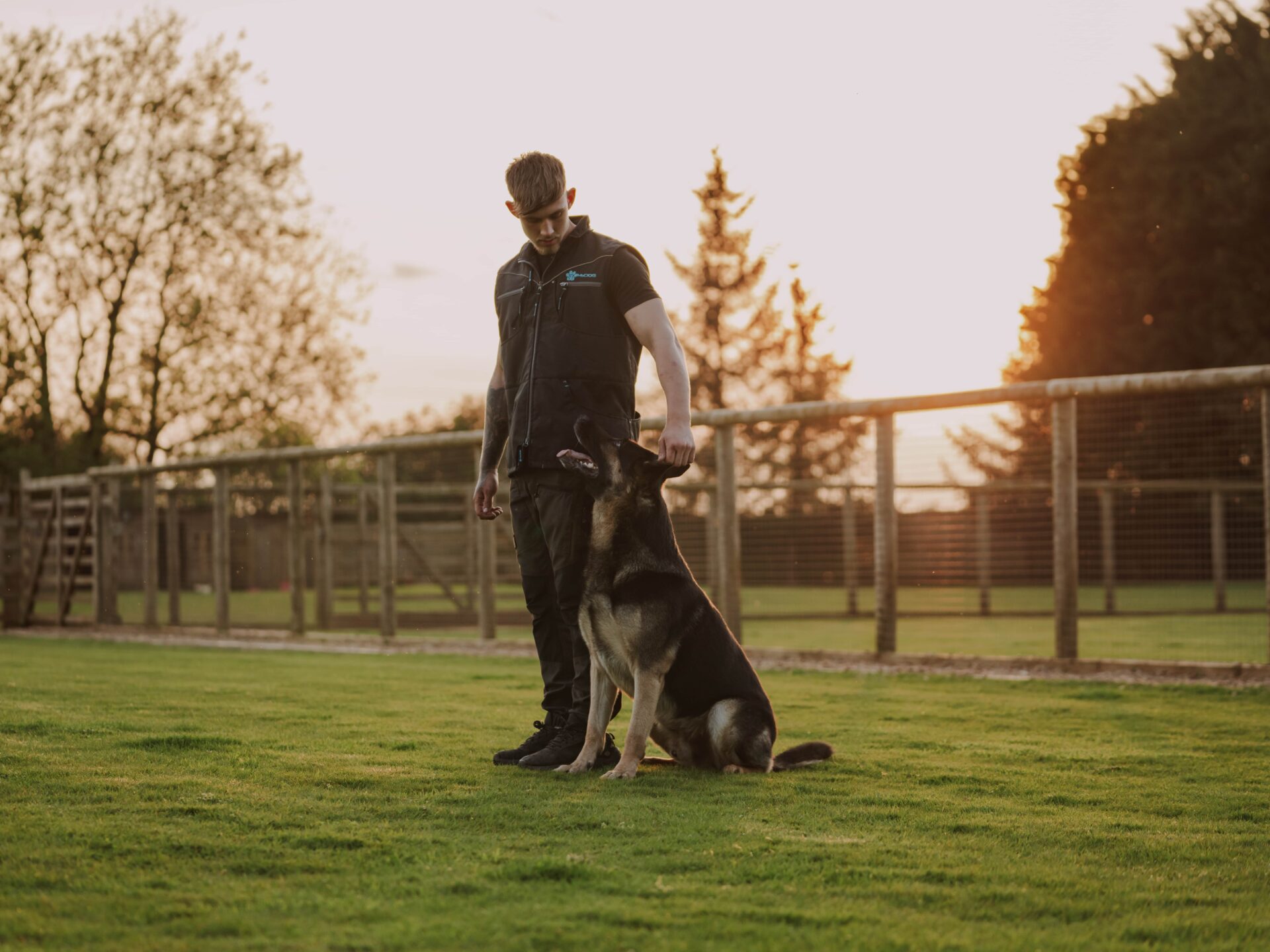 Obedience Training