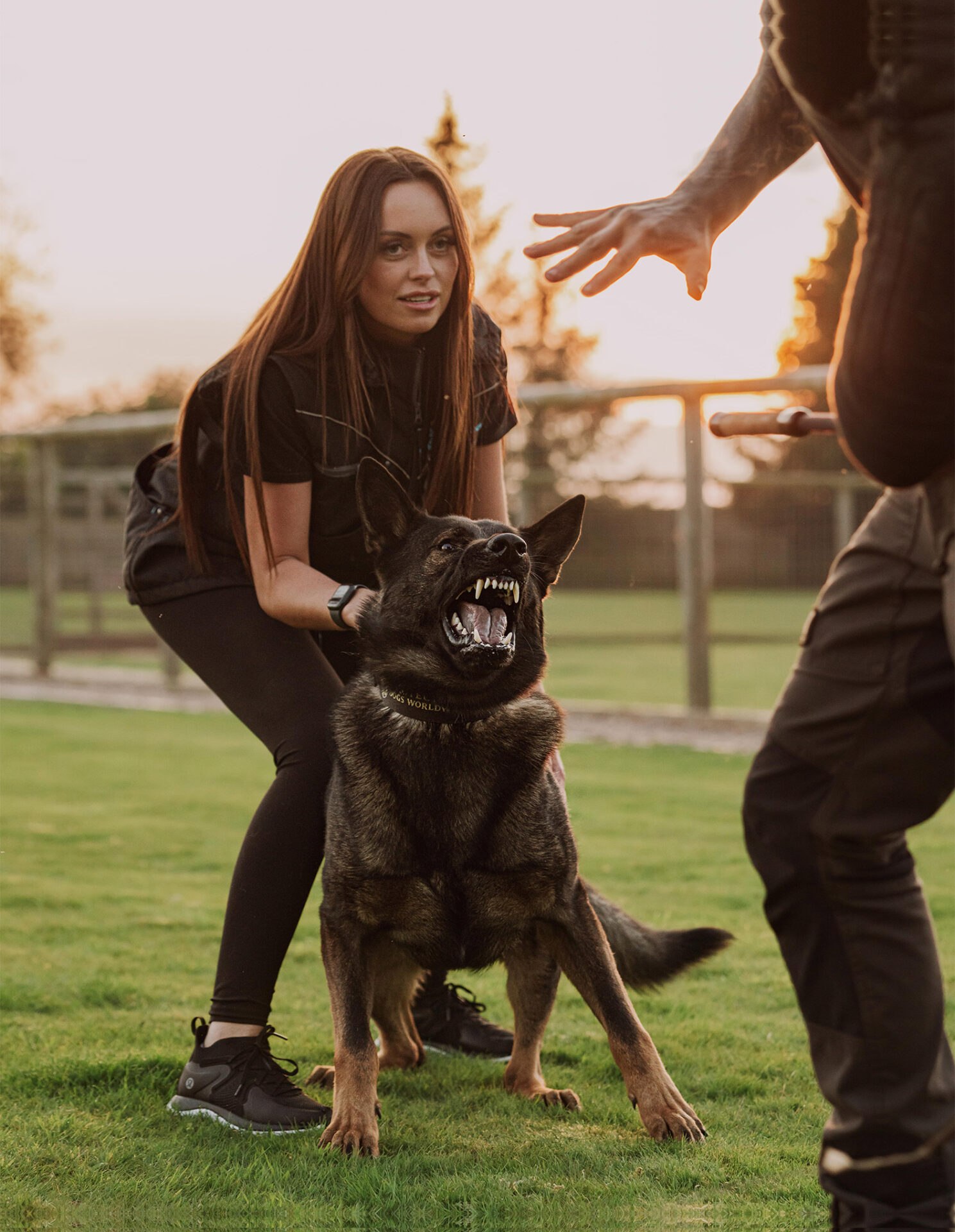 Protection Training